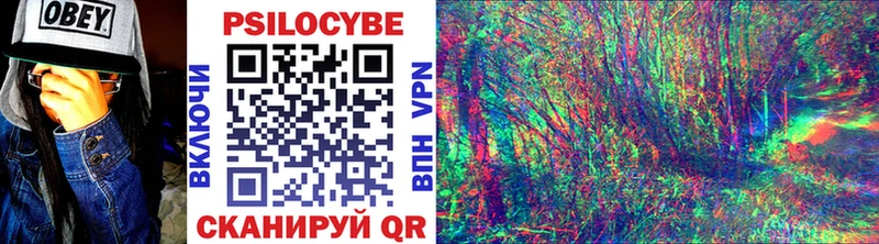 Псилоцибиновые грибы Psilocybe  закладки  МЕГА tor  Гурьевск 